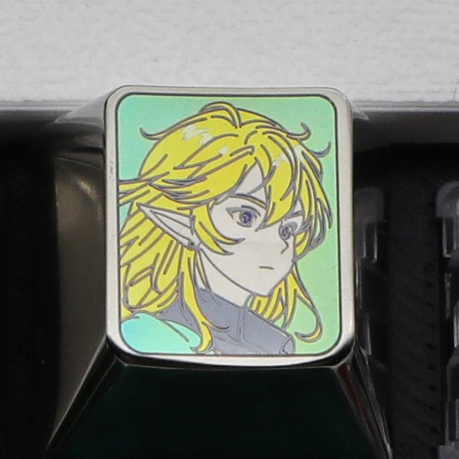 The Legend of Zelda,Link, Master&