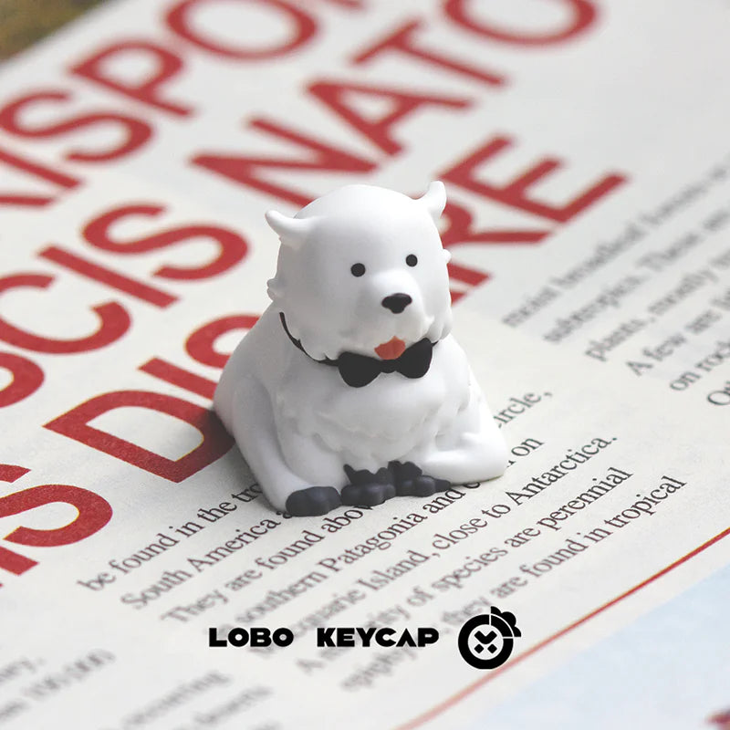 SPY × FAMILY, Bond Forger, multi-color resin molded artisankeycaps, anime personalized keycaps