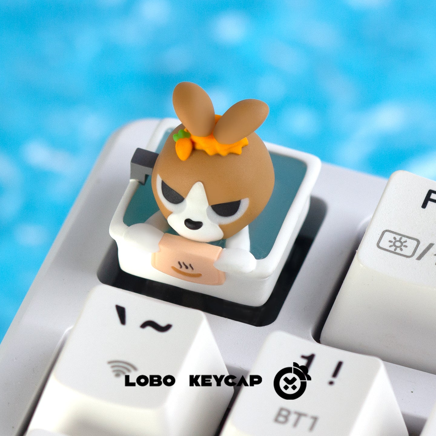 Cute animals at the bathhouse party, personalized keycaps made of multi-color resin molding, and decorative keycaps by craftsmen