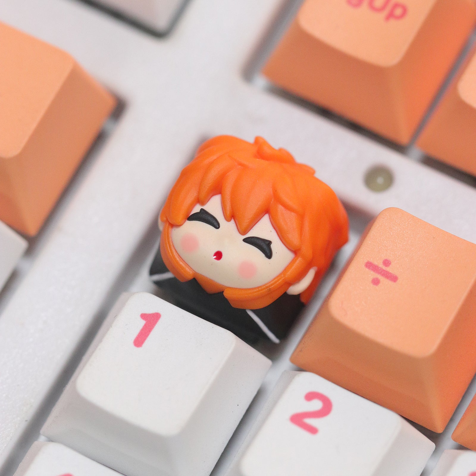 Volleyball boy!! , 1U multi-color resin molded personalized keycaps, anime, gaming, cultural and creative decorative art keycaps