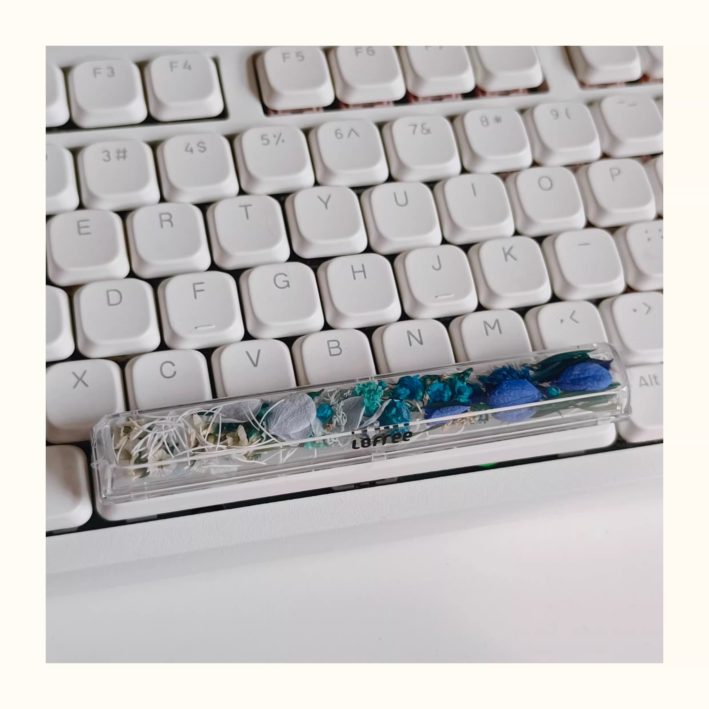 Natural Plant Specimen Eternal Flower Series, Lofree, 6.25U Crystal drops of glue Spacebar, Art Decorative Keycaps.