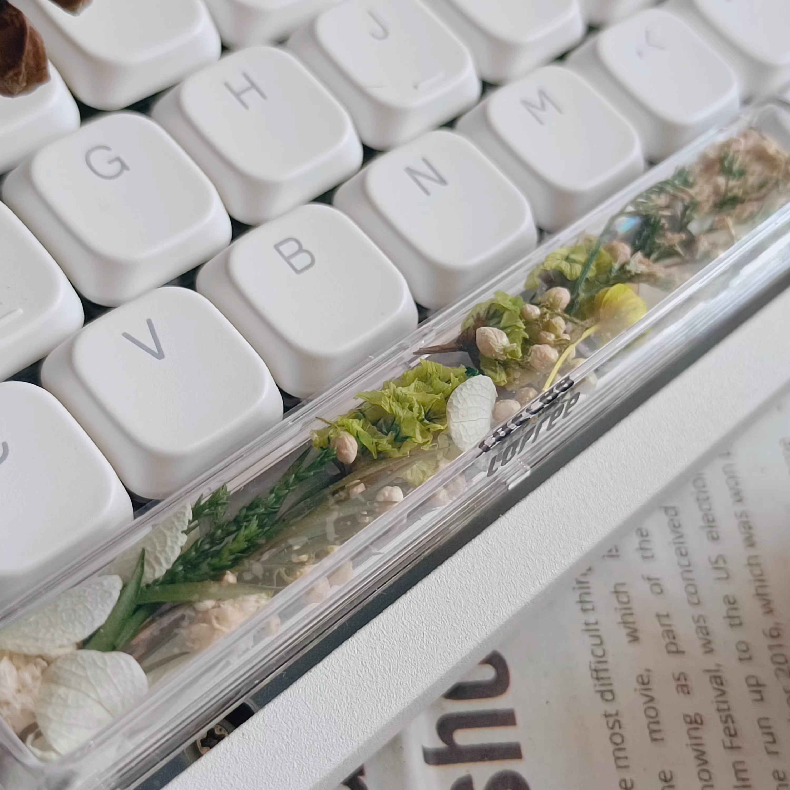Natural Plant Specimen Eternal Flower Series, Lofree, 6.25U Crystal drops of glue Spacebar, Art Decorative Keycaps.