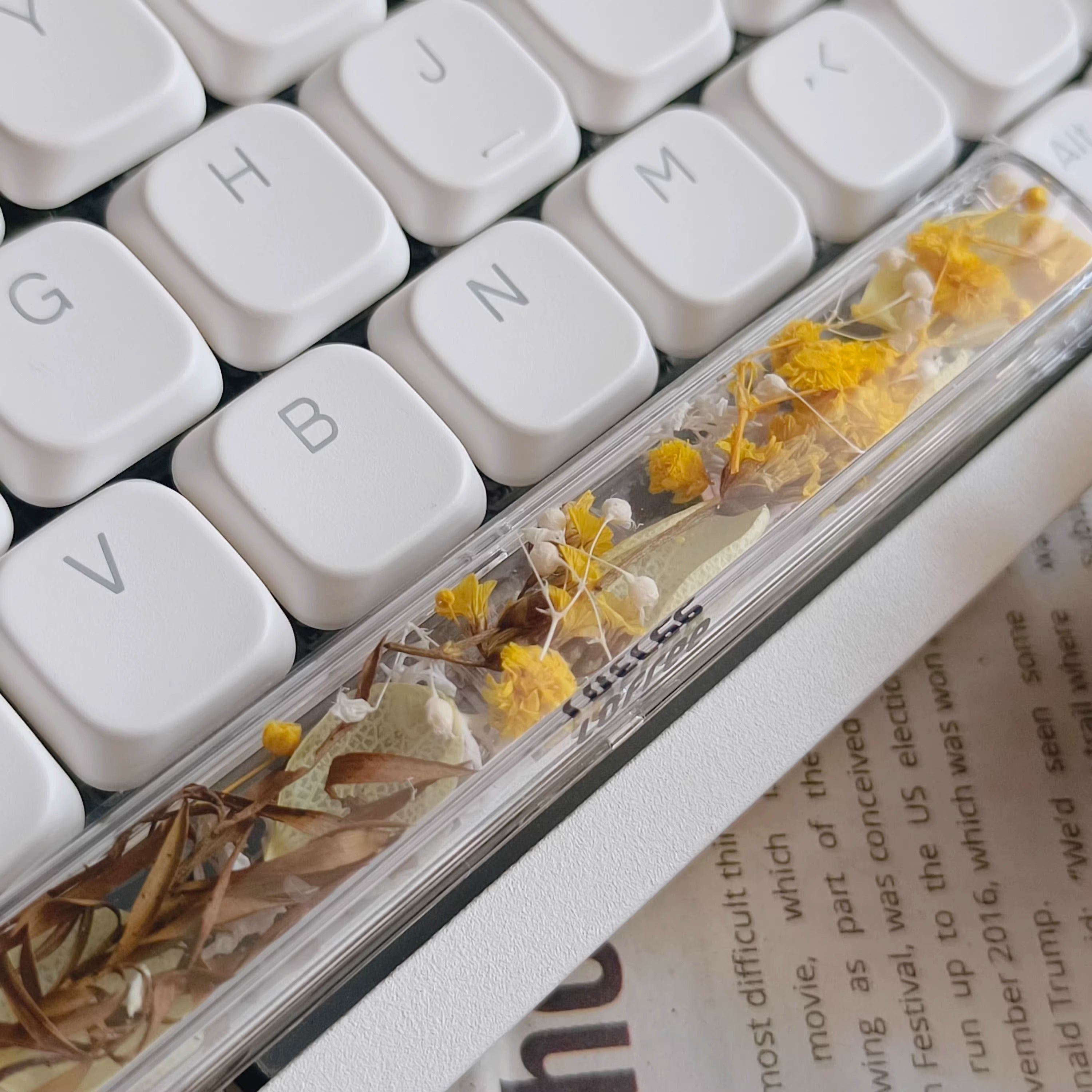 Natural Plant Specimen Eternal Flower Series, Lofree, 6.25U Crystal drops of glue Spacebar, Art Decorative Keycaps.