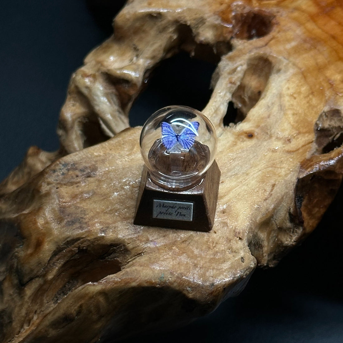 Butterfly specimen crystal ball shape, wooden base, personalized keycap, mechanical keyboard art decoration keycap