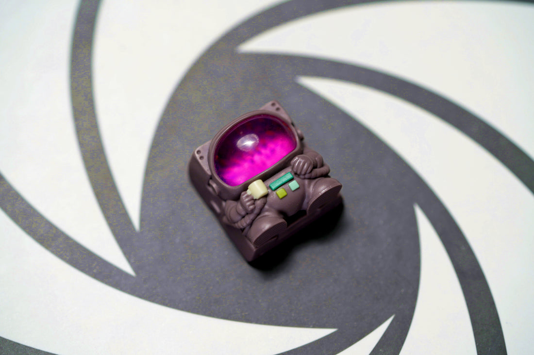 T006