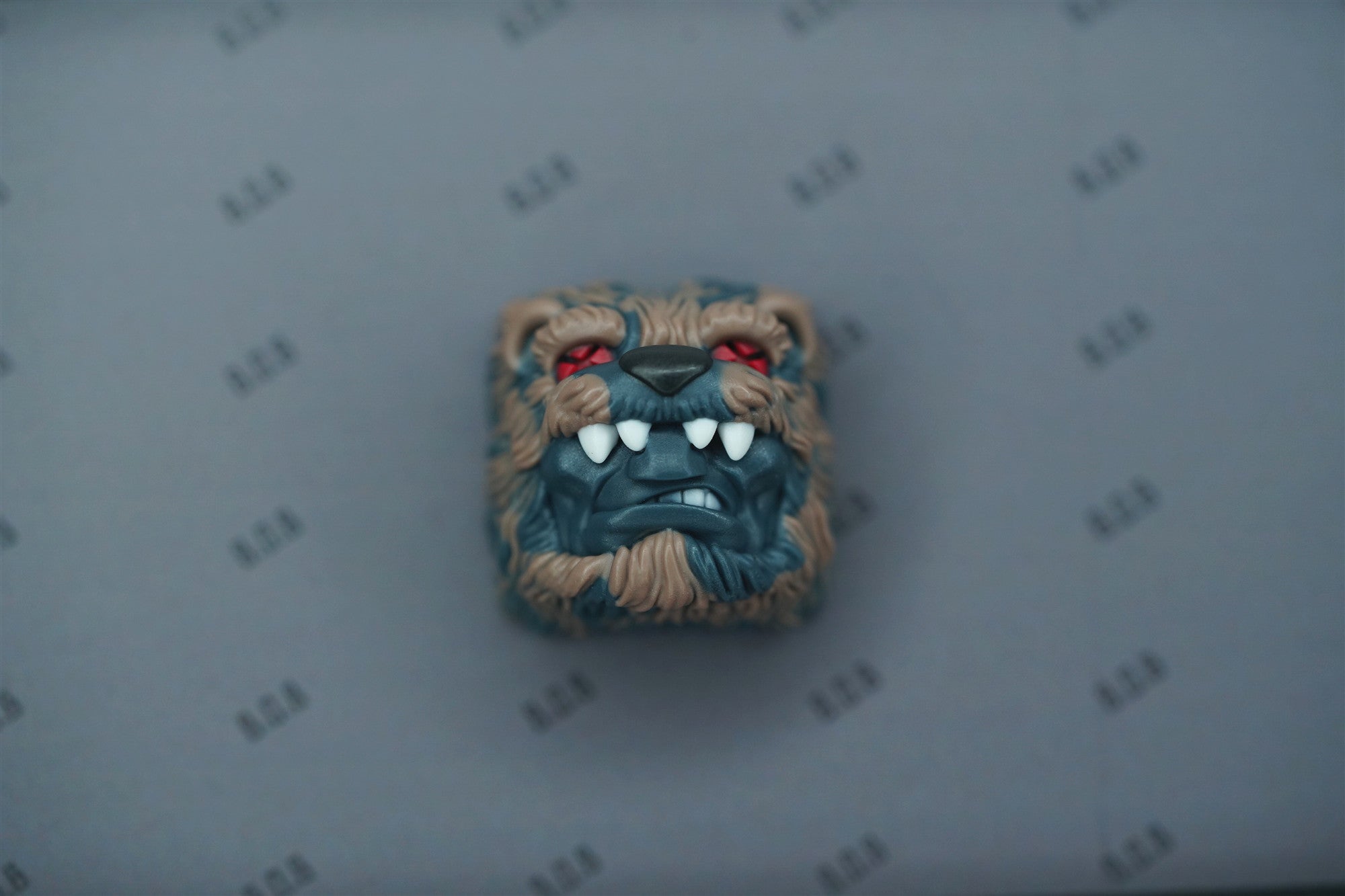 S005