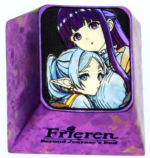 Frieren: Beyond Journey&