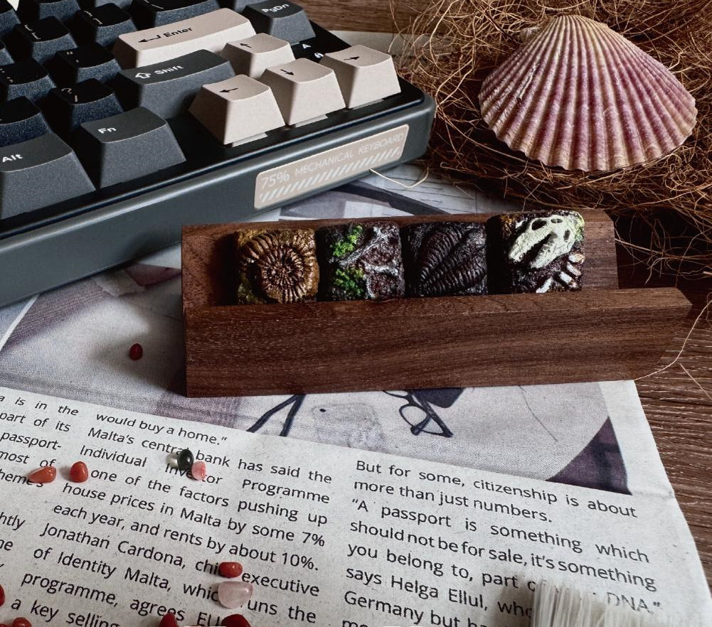Fossil Museum - Aged Fossil Hand Carved Paleontology Creative Personalised Keycaps