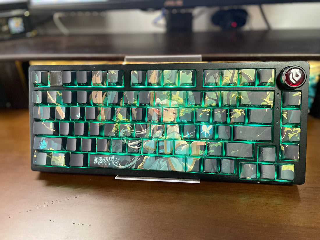 Frieren: Beyond Journey&