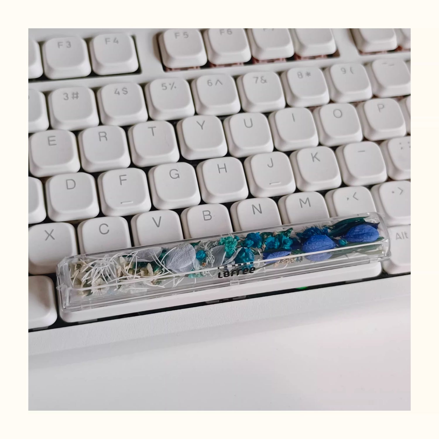 Natural Plant Specimen Eternal Flower Series, Lofree, 6.25U Crystal drops of glue Spacebar, Art Decorative Keycaps.