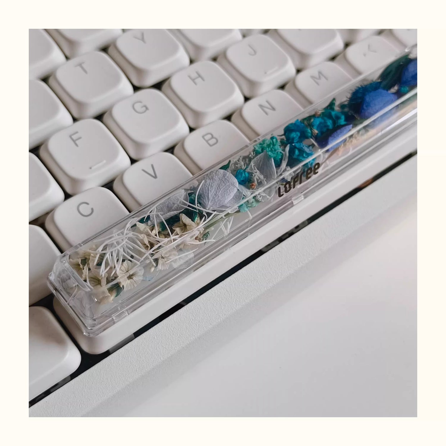 Natural Plant Specimen Eternal Flower Series, Lofree, 6.25U Crystal drops of glue Spacebar, Art Decorative Keycaps.