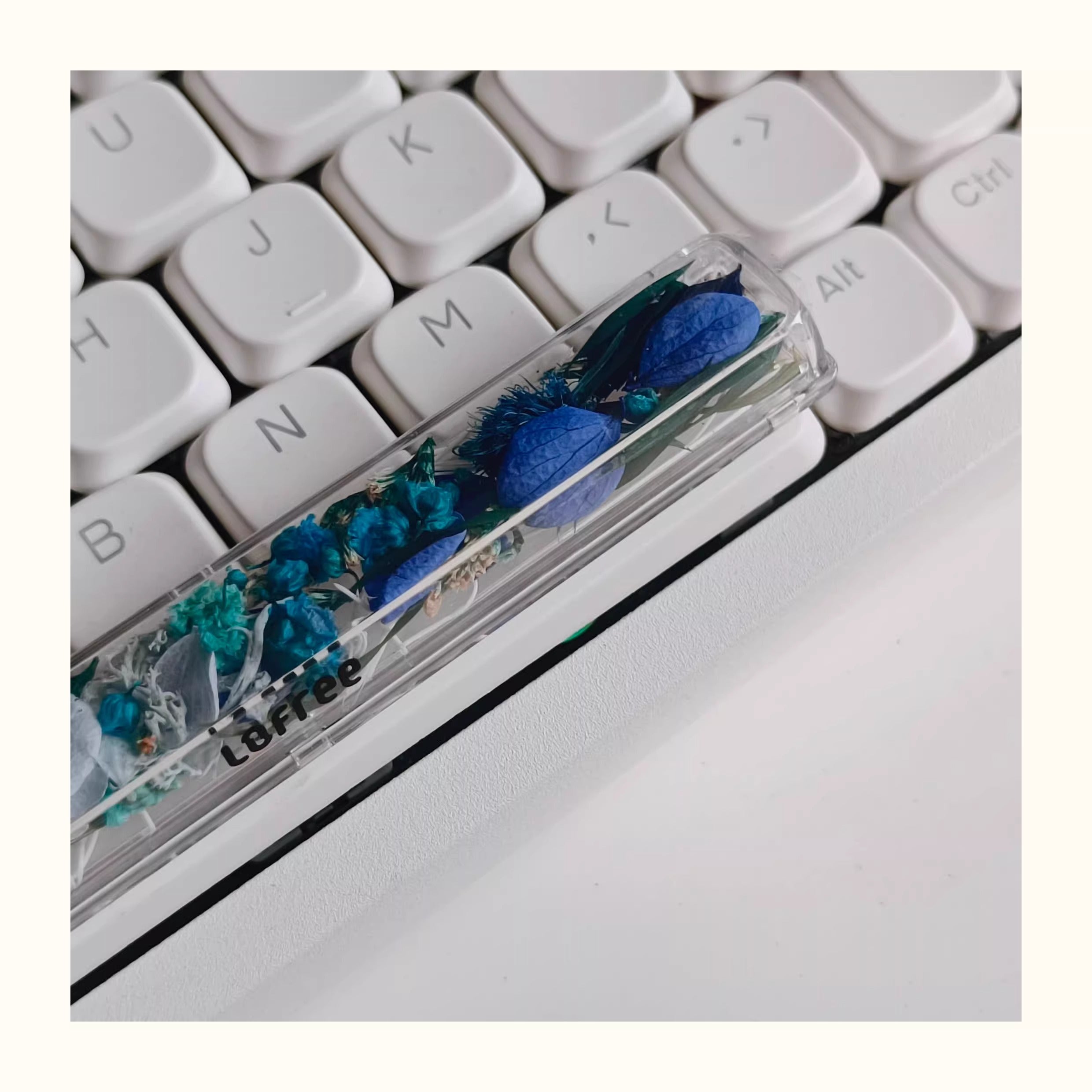 Natural Plant Specimen Eternal Flower Series, Lofree, 6.25U Crystal drops of glue Spacebar, Art Decorative Keycaps.