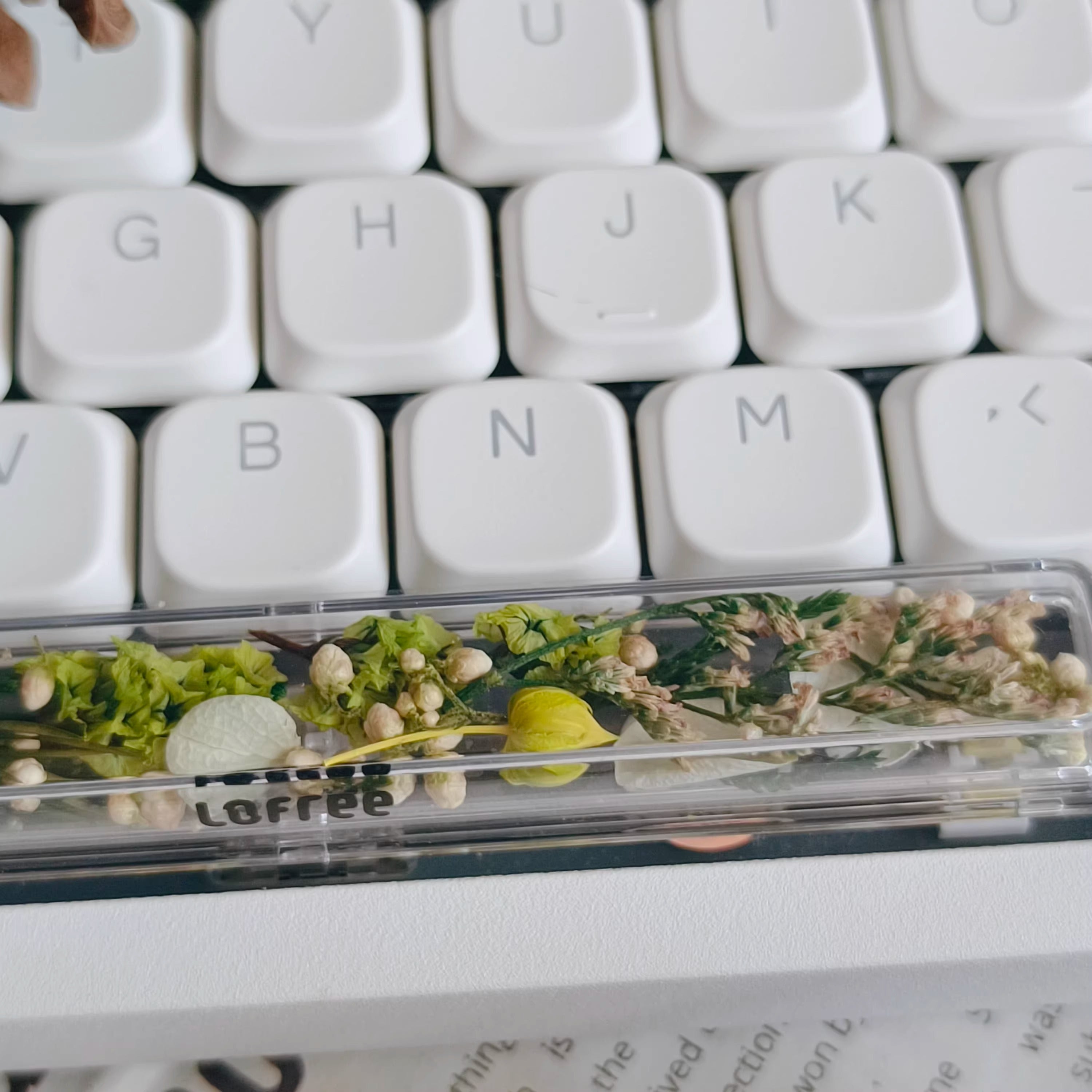 Natural Plant Specimen Eternal Flower Series, Lofree, 6.25U Crystal drops of glue Spacebar, Art Decorative Keycaps.