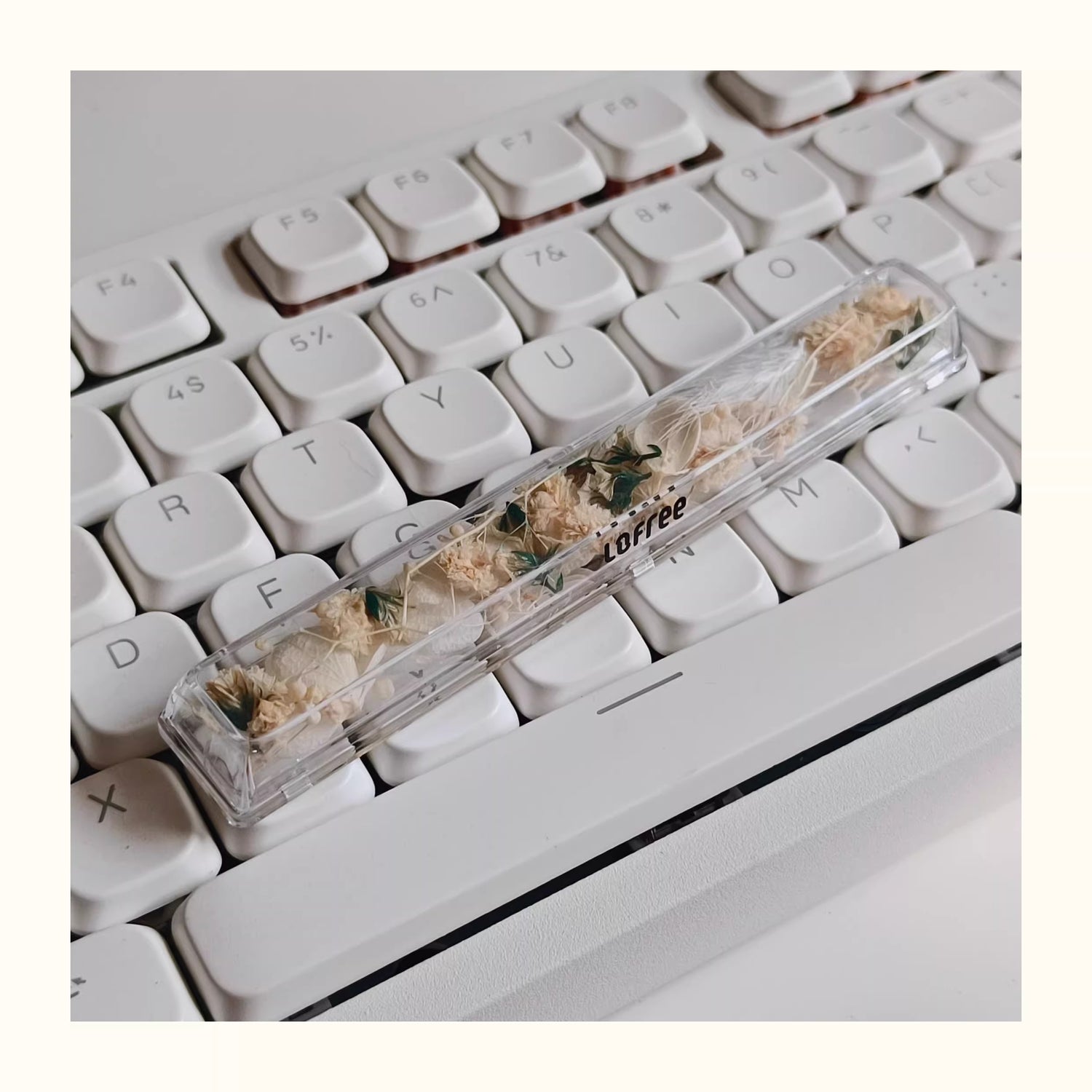Natural Plant Specimen Eternal Flower Series, Lofree, 6.25U Crystal drops of glue Spacebar, Art Decorative Keycaps.