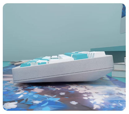 Frieren: Beyond Journey&