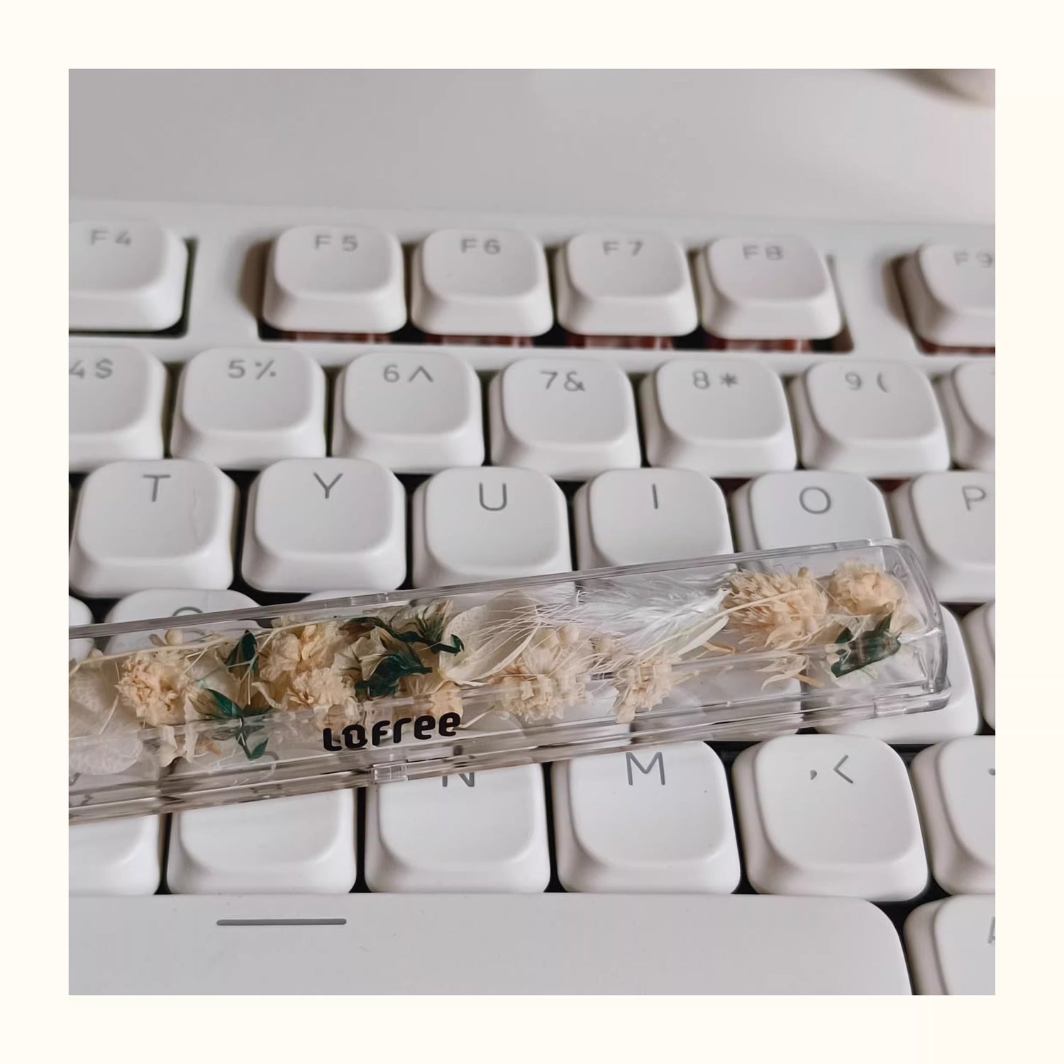 Natural Plant Specimen Eternal Flower Series, Lofree, 6.25U Crystal drops of glue Spacebar, Art Decorative Keycaps.