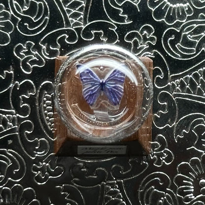 Butterfly specimen crystal ball shape, wooden base, personalized keycap, mechanical keyboard art decoration keycap