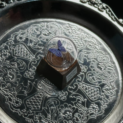 Butterfly specimen crystal ball shape, wooden base, personalized keycap, mechanical keyboard art decoration keycap
