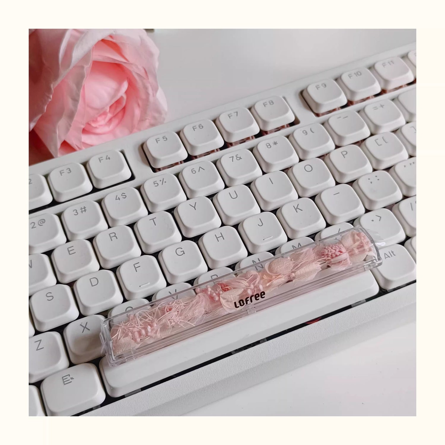 Natural Plant Specimen Eternal Flower Series, Lofree, 6.25U Crystal drops of glue Spacebar, Art Decorative Keycaps.
