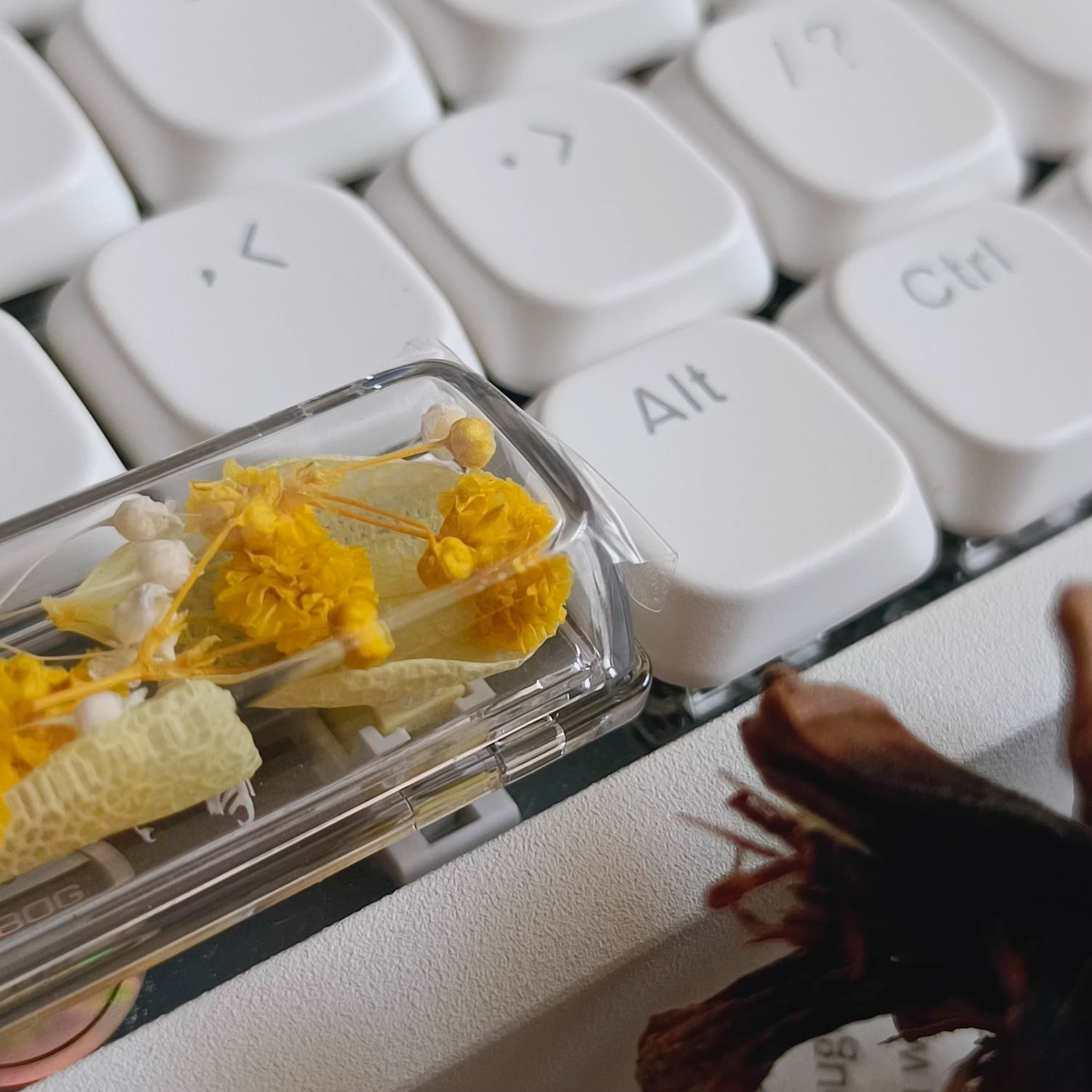Natural Plant Specimen Eternal Flower Series, Lofree, 6.25U Crystal drops of glue Spacebar, Art Decorative Keycaps.
