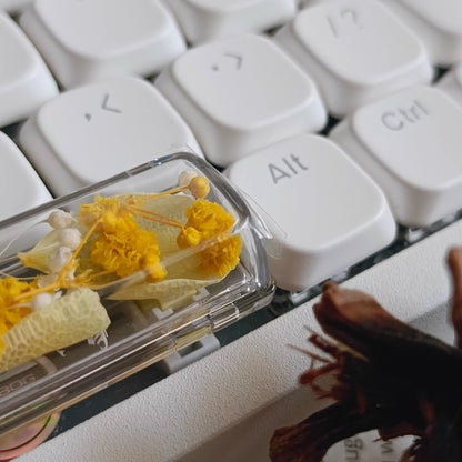 Natural Plant Specimen Eternal Flower Series, Lofree, 6.25U Crystal drops of glue Spacebar, Art Decorative Keycaps.