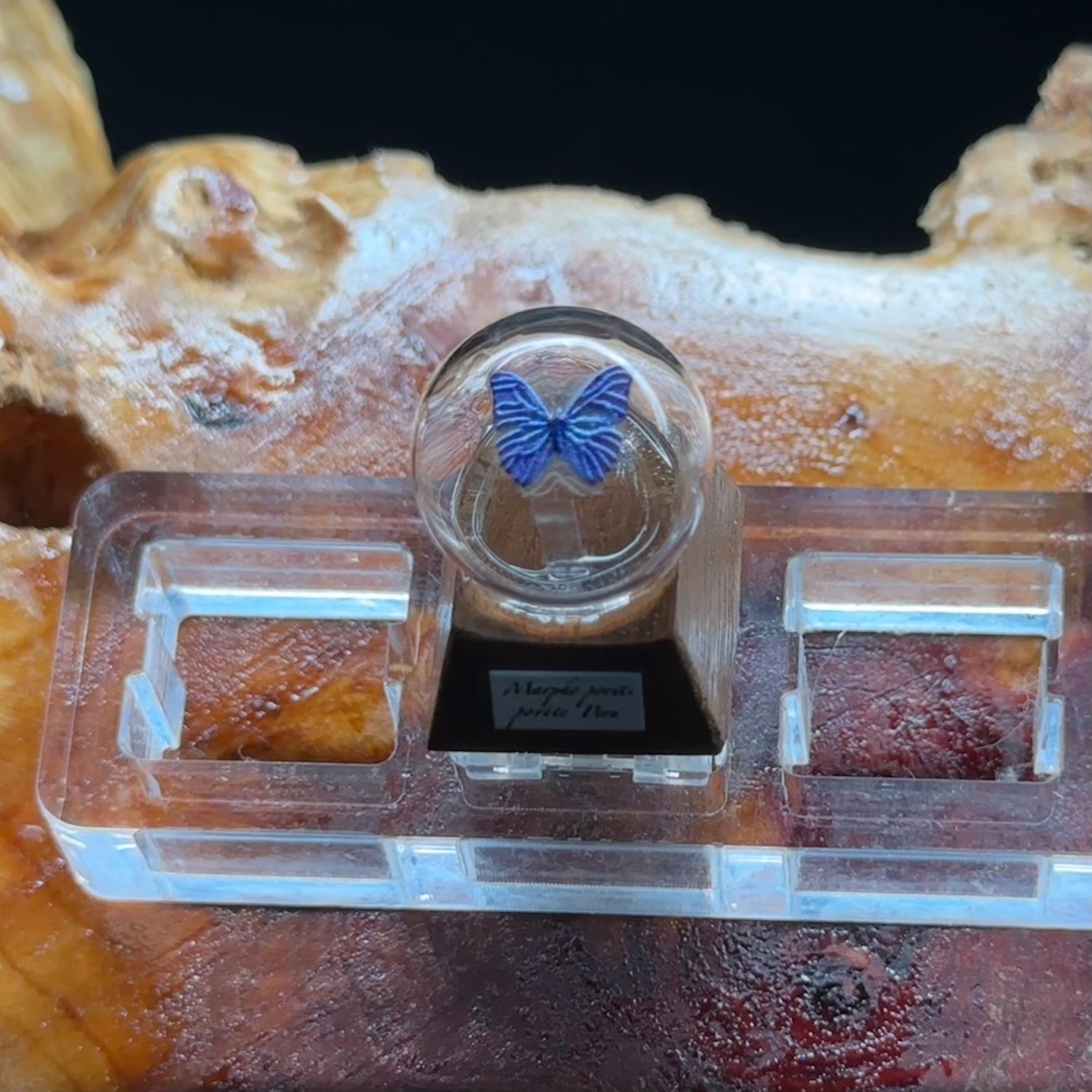Butterfly specimen crystal ball shape, wooden base, personalized keycap, mechanical keyboard art decoration keycap