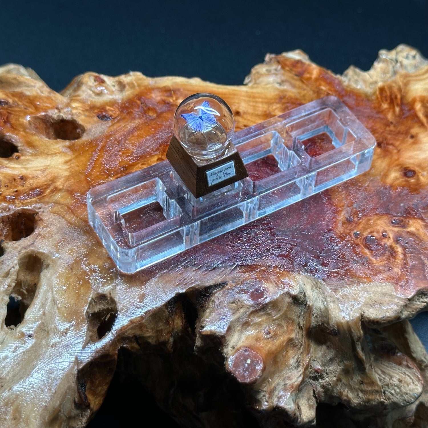 Butterfly specimen crystal ball shape, wooden base, personalized keycap, mechanical keyboard art decoration keycap