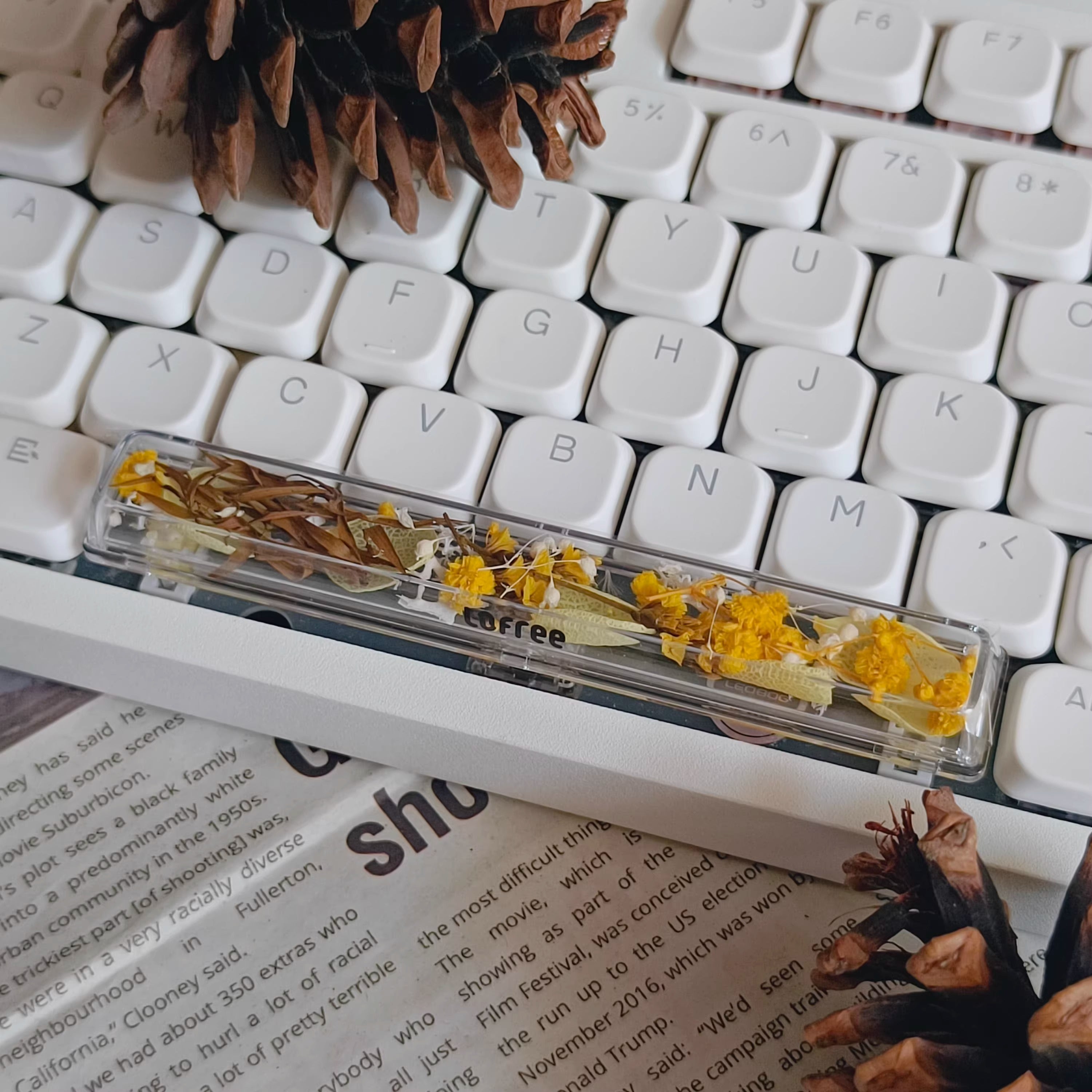 Natural Plant Specimen Eternal Flower Series, Lofree, 6.25U Crystal drops of glue Spacebar, Art Decorative Keycaps.