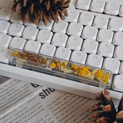 Natural Plant Specimen Eternal Flower Series, Lofree, 6.25U Crystal drops of glue Spacebar, Art Decorative Keycaps.