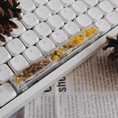 Natural Plant Specimen Eternal Flower Series, Lofree, 6.25U Crystal drops of glue Spacebar, Art Decorative Keycaps.