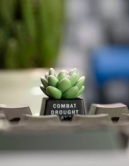 succulent plants， Resin personalized keycaps, plant-based creative keycaps, mechanical keyboard decorative keycaps.